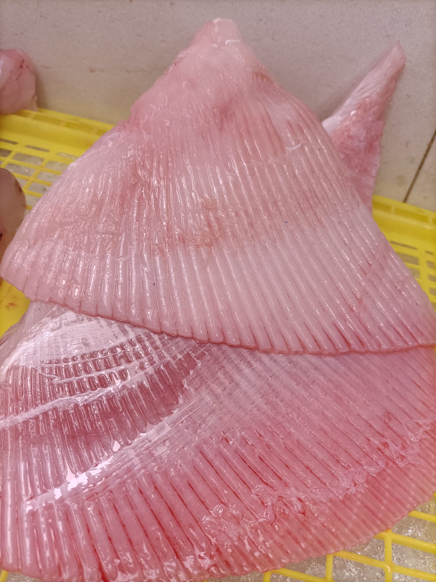 Raya fresca pelada