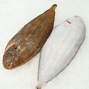 Lenguado de bahía