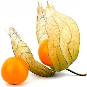Physalis – Uchuva