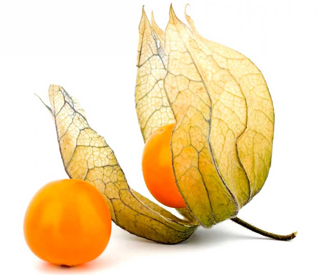 Physalis – Uchuva