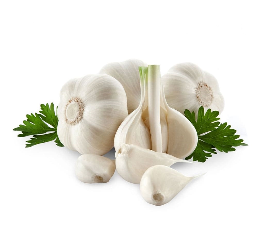 Ajo Spring Blanco