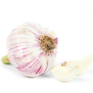 Ajo Spring Violeta