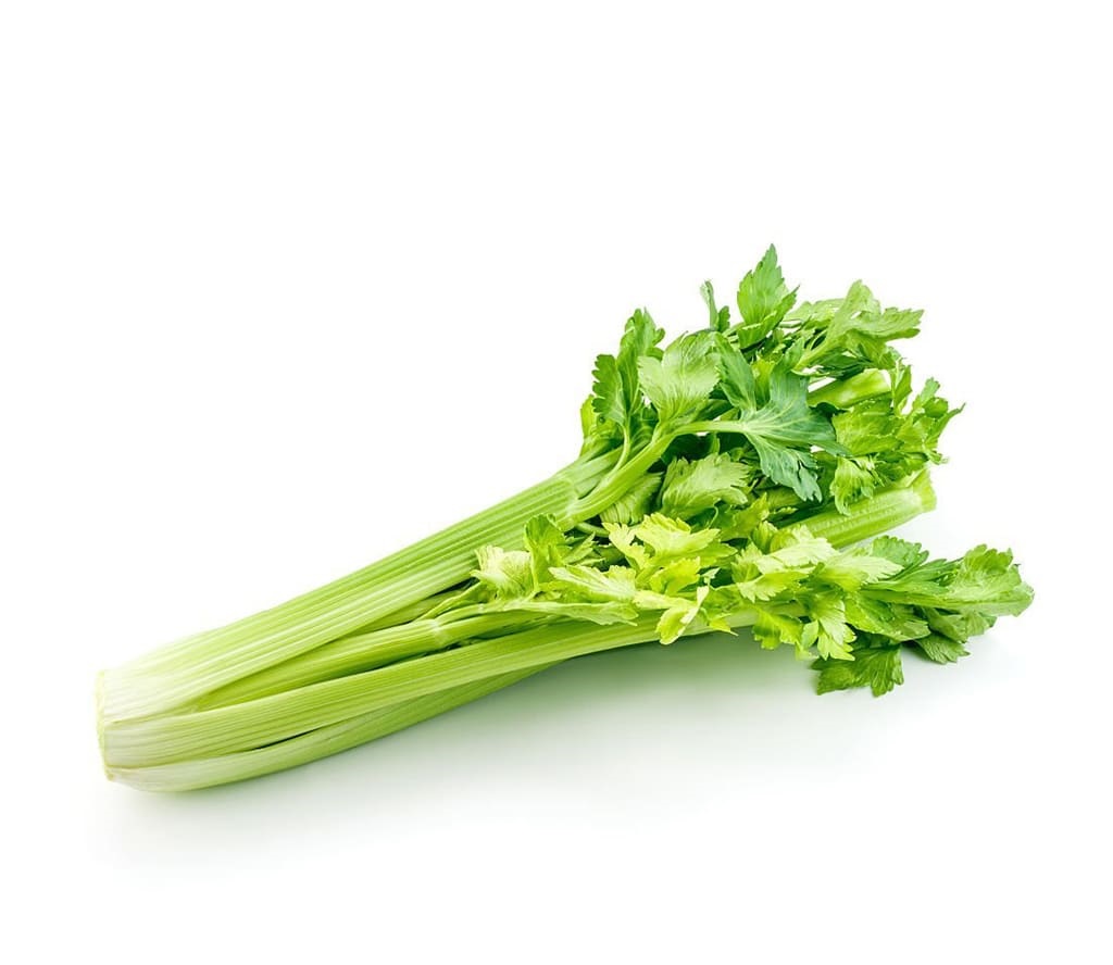 Apio – Rama de 1 KG