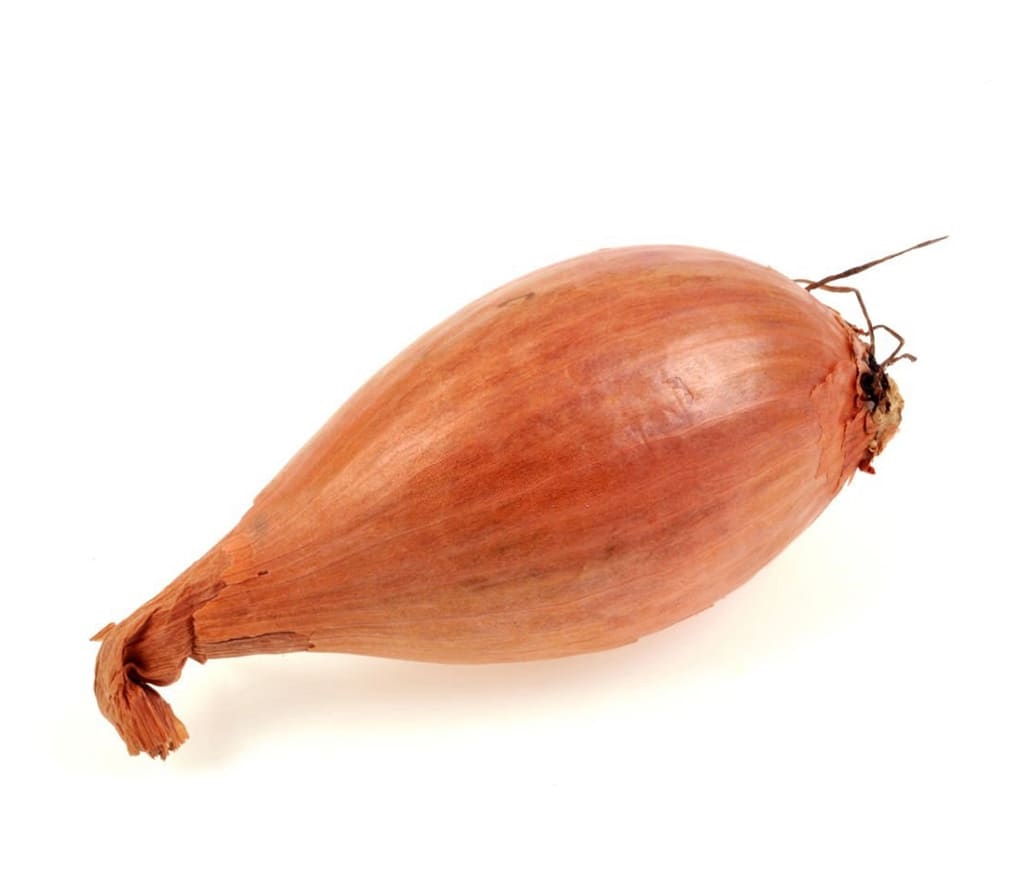 Chalota