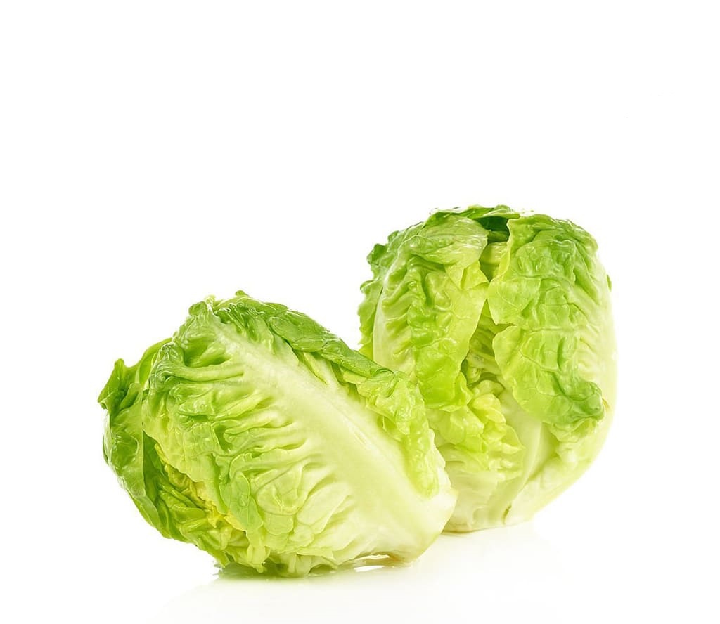 Lechuga baby