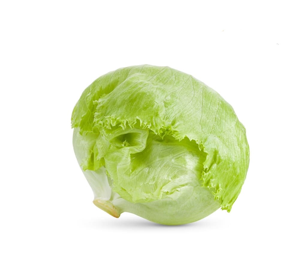 Lechuga Iceberg