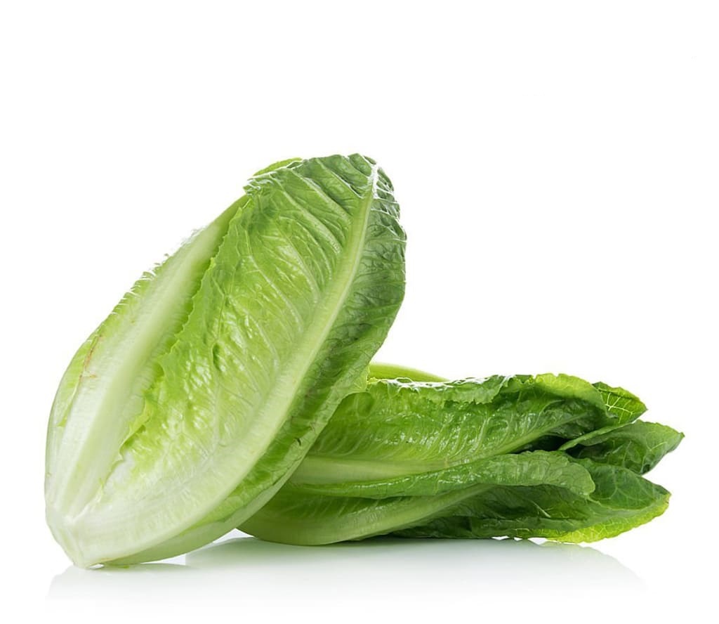 Lechuga romana
