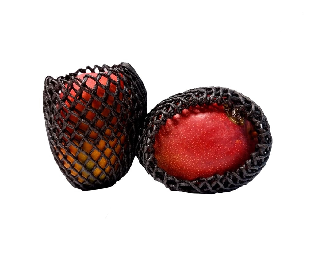 Mango avión – Variedad Kent